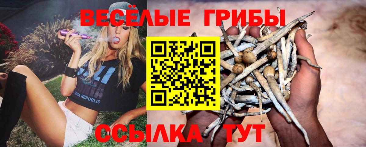 где купить наркоту  Псилоцибиновые грибы мухоморы  Вход с VPN  Псилоцибиновые грибы мухоморы  Рассказово 