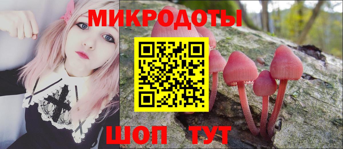 Псилоцибиновые грибы Psilocybine cubensis Рассказово